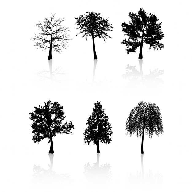 Free Vector collection of trees on a white background