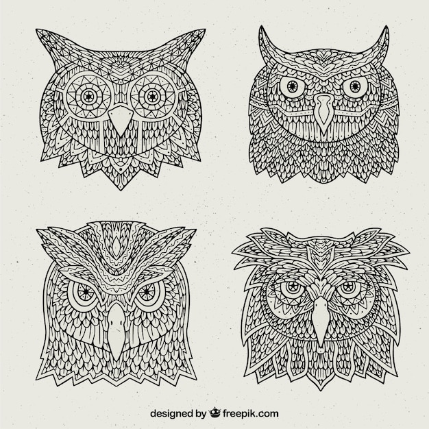 Collection of tribal owl heads