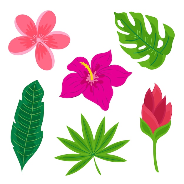 Free Vector collection of tropical flower and leaf