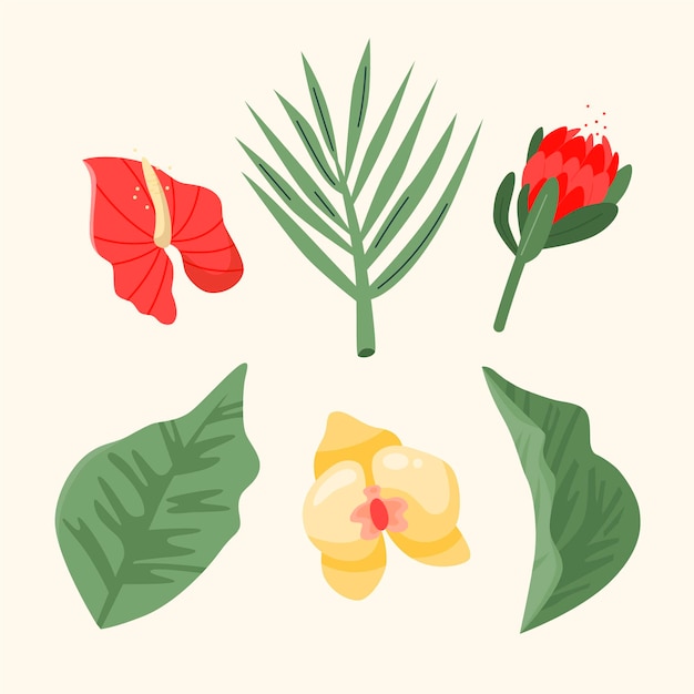 Free Vector collection of tropical flowers and leaves