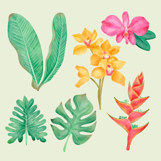 Collection of tropical leaves and flowers