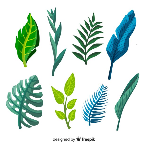 Collection of various tropical leaves