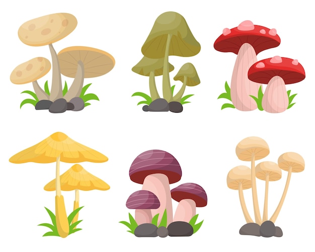 Collection of various type of fresh mushroom drawing isolated on white natural organic food vector illustration