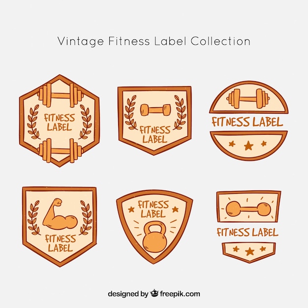 Free Vector collection of vintage fitness badges