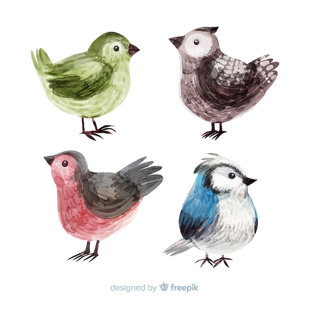 Free Vector collection of watercolor autumn birds