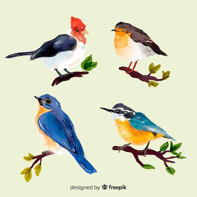 Collection of watercolor autumn birds