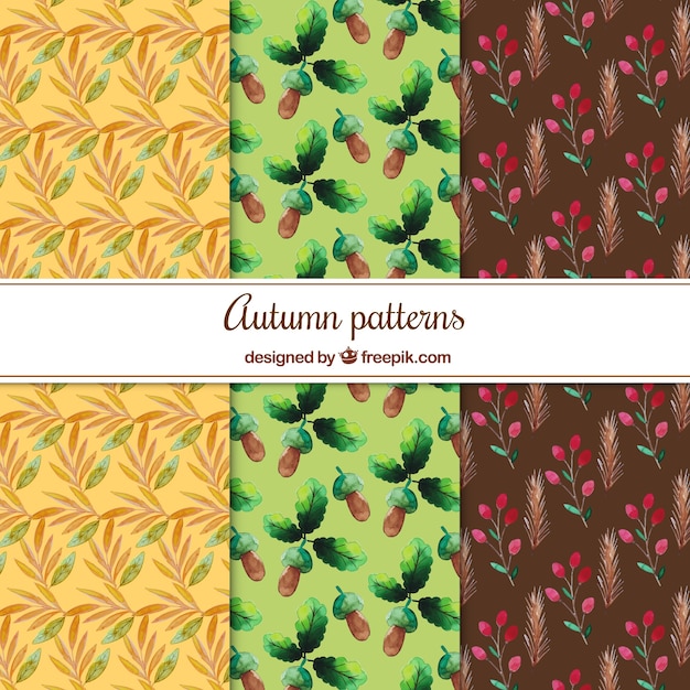 Free Vector collection of watercolor autumnal pattern