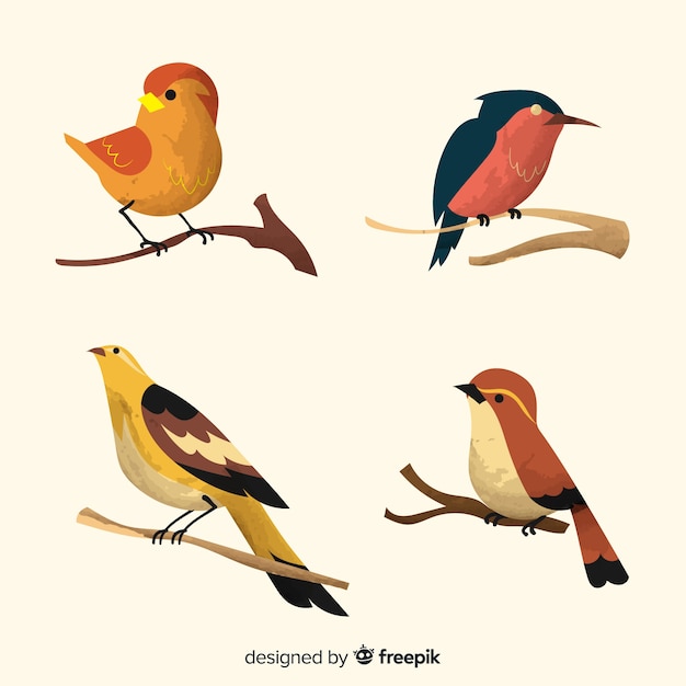 Collection of watercolor birds on branches