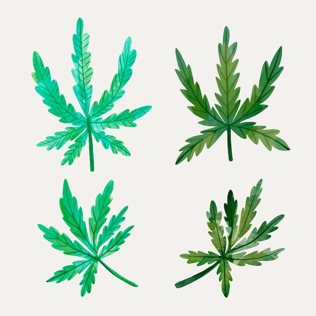 Free vector collection of watercolor cannabis leaves