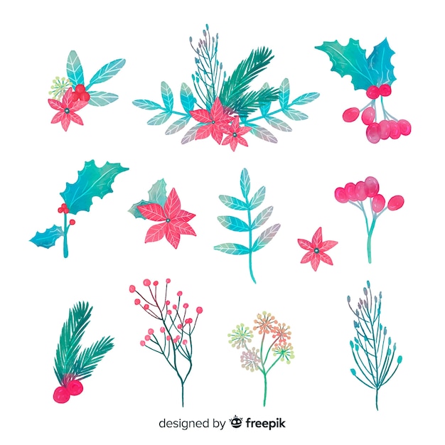 Collection of watercolor christmas flowers