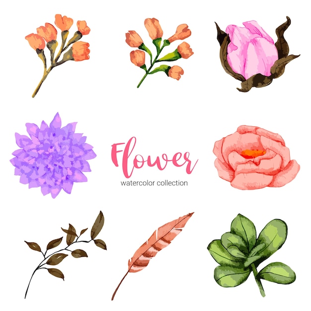 Collection of watercolor illustration beautiful flower