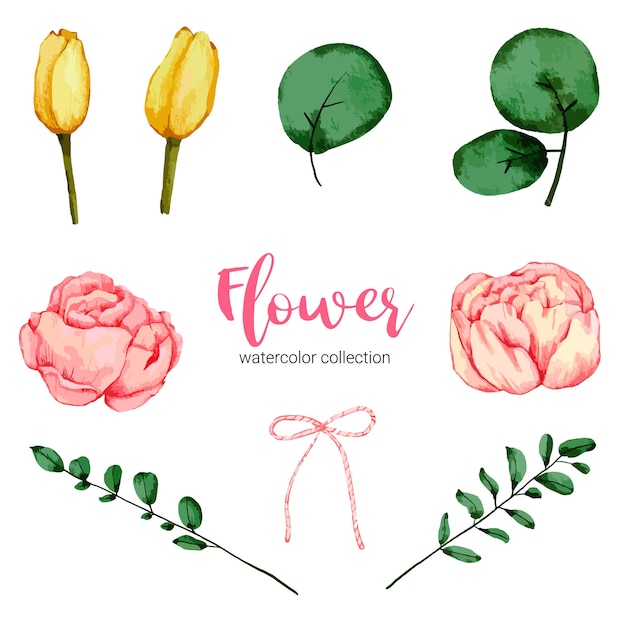 Collection of watercolor illustration beautiful flower