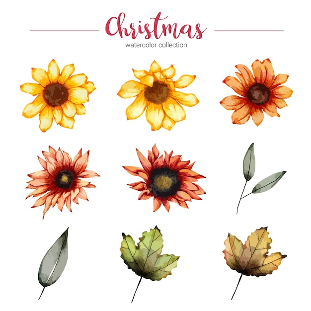 Free vector collection of watercolor illustration beautiful flower