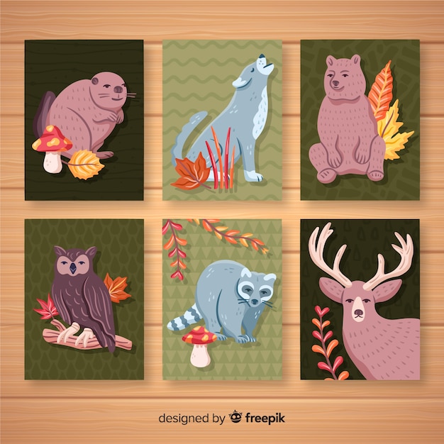 Free Vector collection of wild animal cards