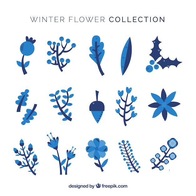 Collection of winter flower 