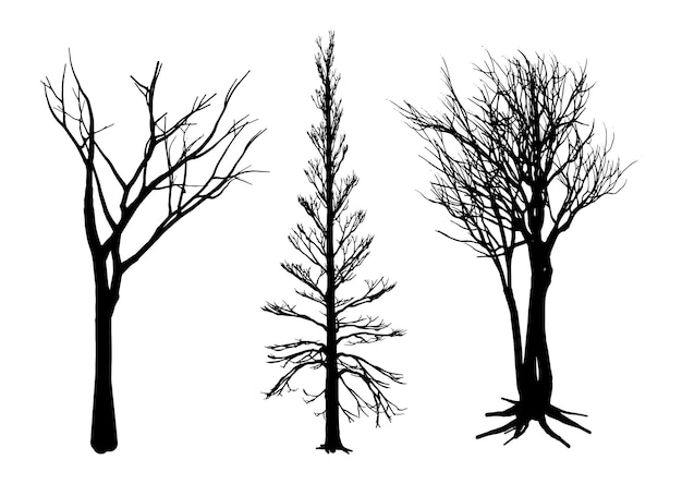 Collection of winter tree silhouettes