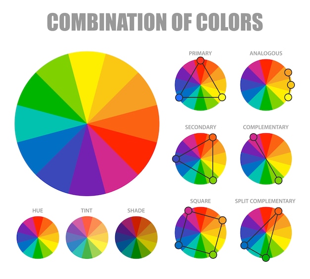 Free vector color combination scheme infographic