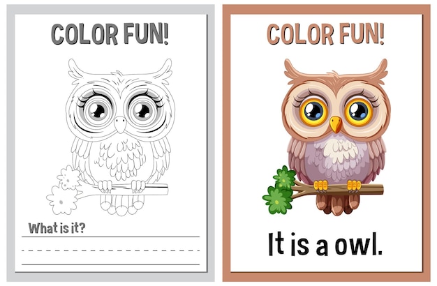 Free Vector color fun educational owl illustrations