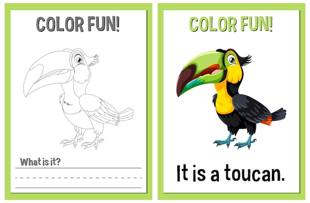 Free Vector color fun educational toucan illustration