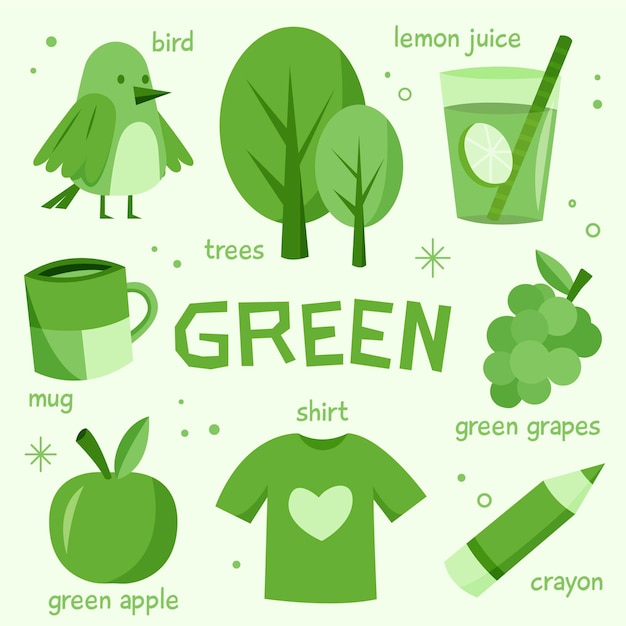 Color green and vocabulary set in english