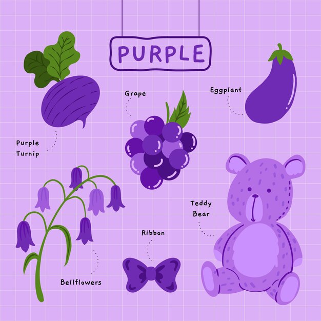 Color purple and vocabulary set in english