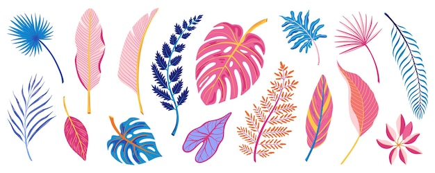 Free Vector color tropical leaves of various exotic plants flat set isolated on white background vector illustration