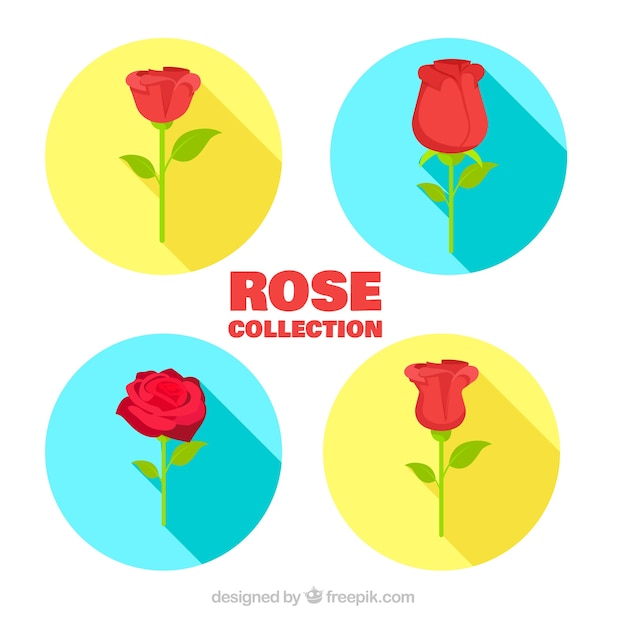 Free Vector colored circles with flat roses