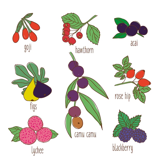 Colored Hand Drawn Botanical Food Set