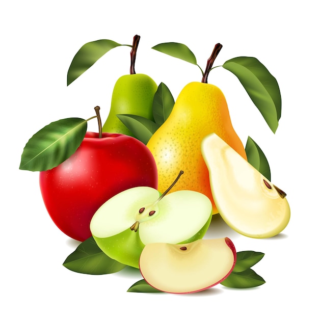 Colored realistic pear apple composition whole and sliced pears apples of different varieties vector illustration