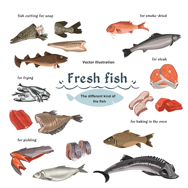 Free Vector colored sketch seafood set