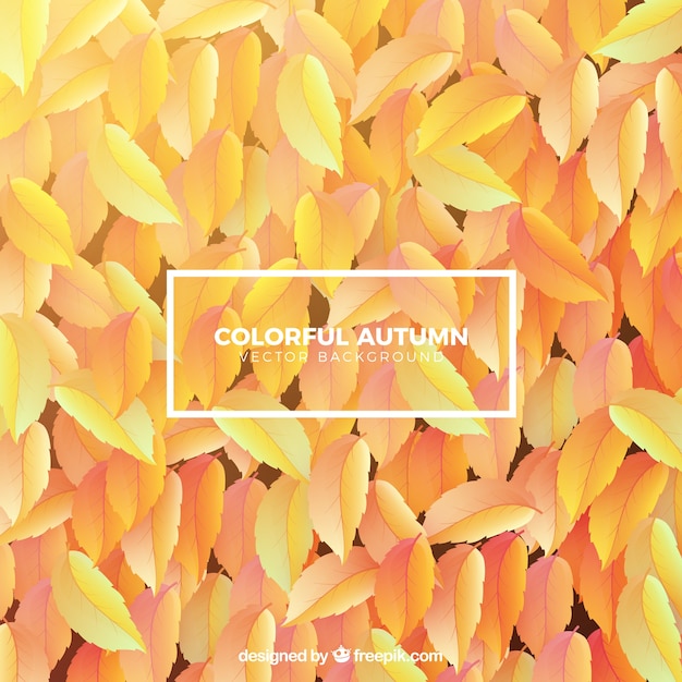 Free Vector colorful autumn background with leaves