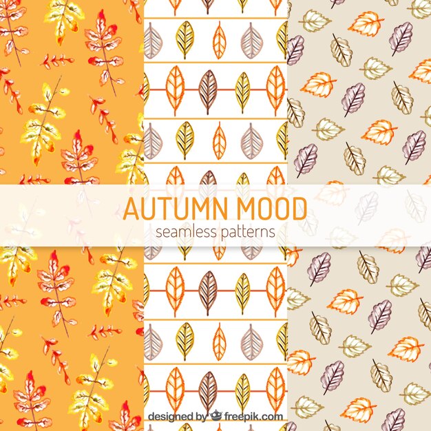 Colorful autumn patterns with modern style