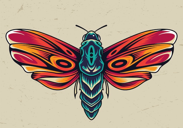 Free vector colorful beautiful butterfly concept