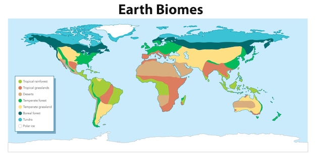 Free Vector colorful biomes map a world divided by nature