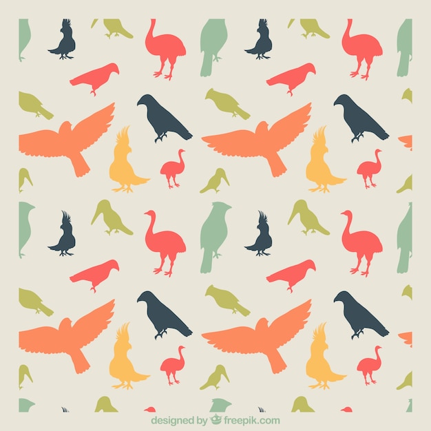 Colorful bird pattern