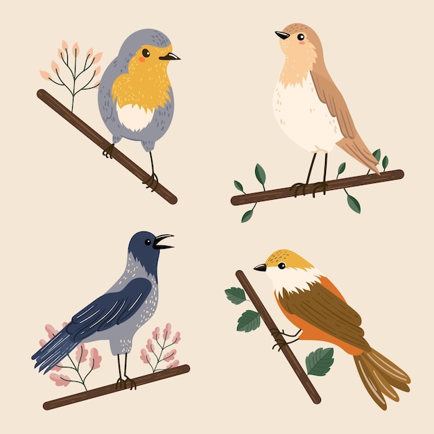 Colorful birds collection illustration