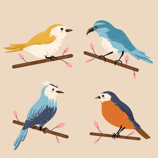 Colorful birds collection illustration