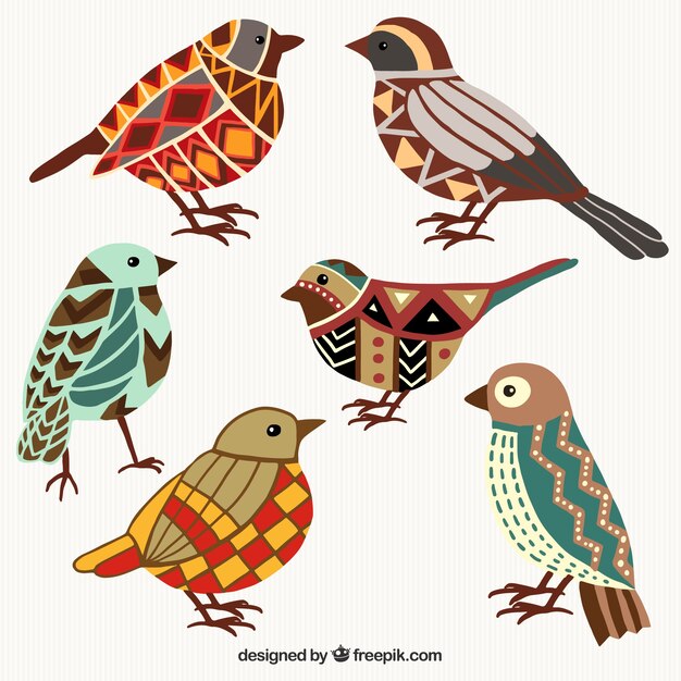 Colorful birds in geometric style