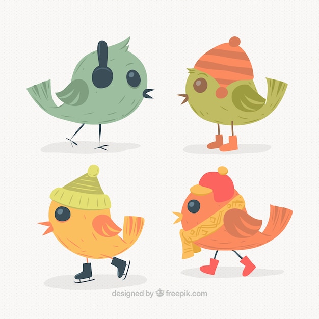 Free Vector colorful birds with winter accessories