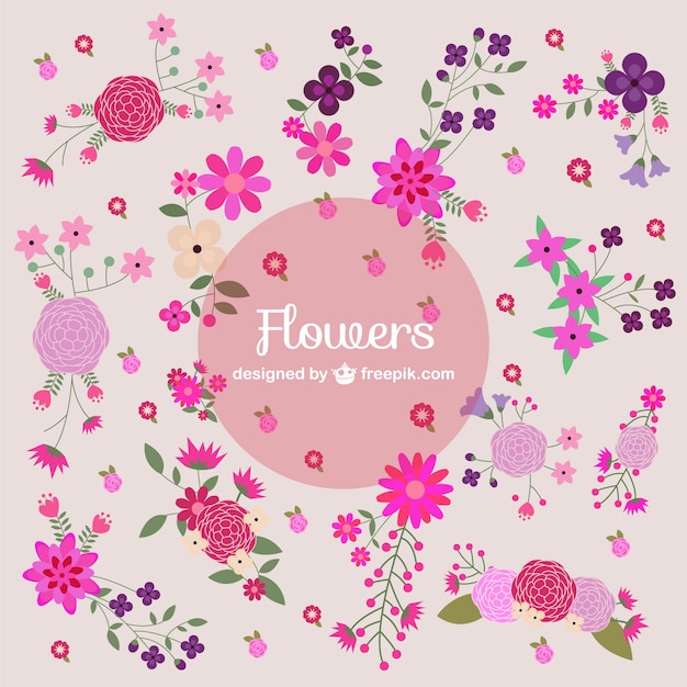 Colorful bright flowers collection