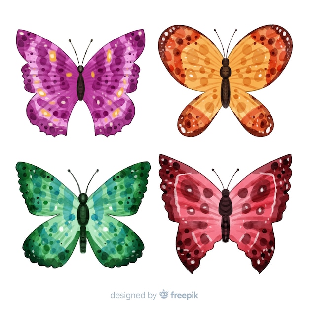 Colorful butterflies collection