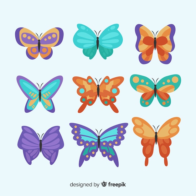 Colorful butterflies collection