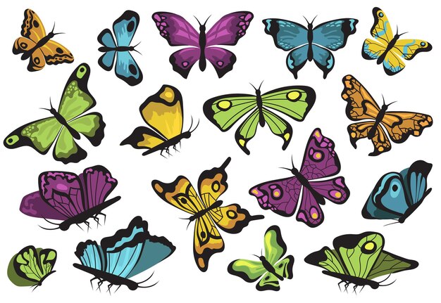 Colorful butterflies set