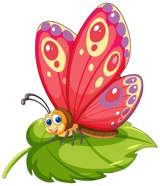 Free vector colorful butterfly on green leaf