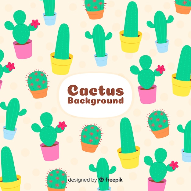 Colorful cactus background