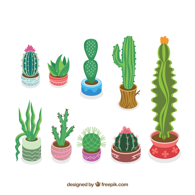 Free Vector colorful cactus collection