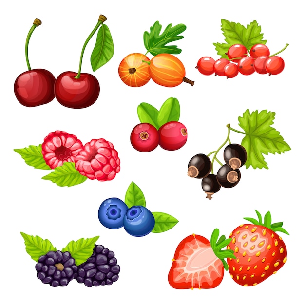 Colorful Cartoon Berries Icons Collection