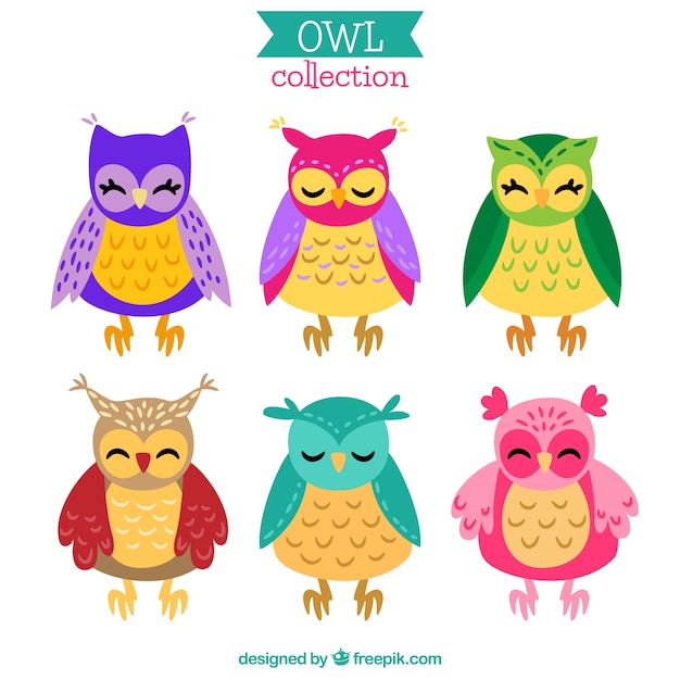 Free vector colorful cartoon owl pack