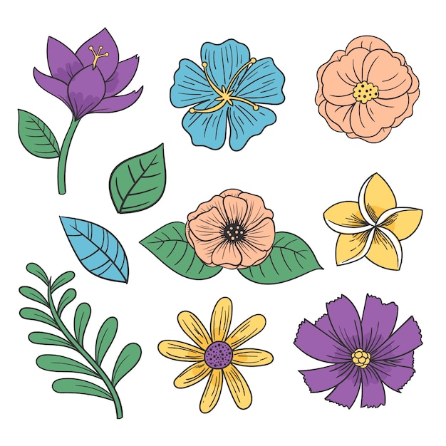 Colorful collection of hand drawn flowers