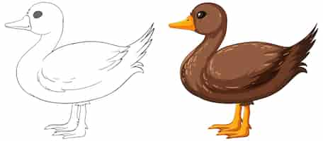 Free vector colorful duck illustration before and after